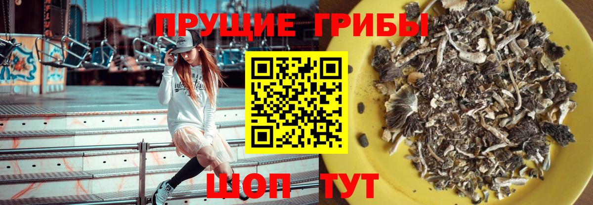 Псилоцибиновые грибы Psilocybine cubensis Бугуруслан